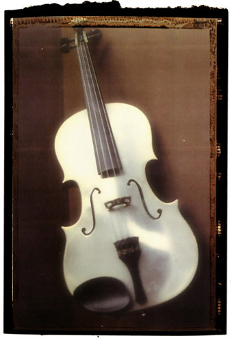 Détail du violon stainless